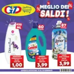 GeD SHOPPING Meglio dei saldi - al 24.01.2026