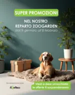 Florarici ALLSTORES - al 08.02.2026