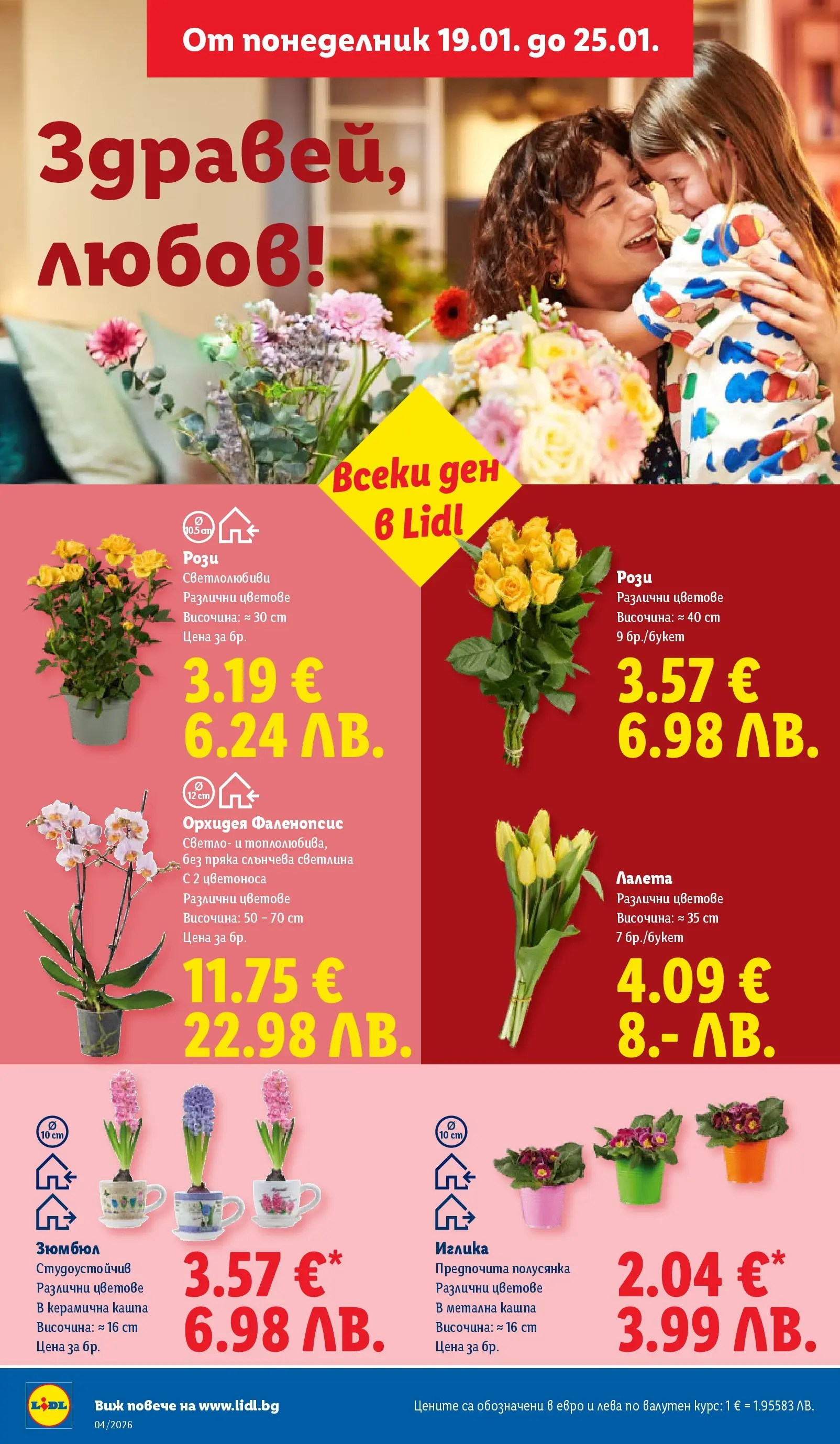 Лидл - Сваляме цените на над 100 продукта в ЛИДЛ с валидност до 25.01.2026 от 18.01.2026 | Страница: 54 | Продукти: Кашпа, Орхидея