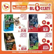 Nuove offerte da scoprire