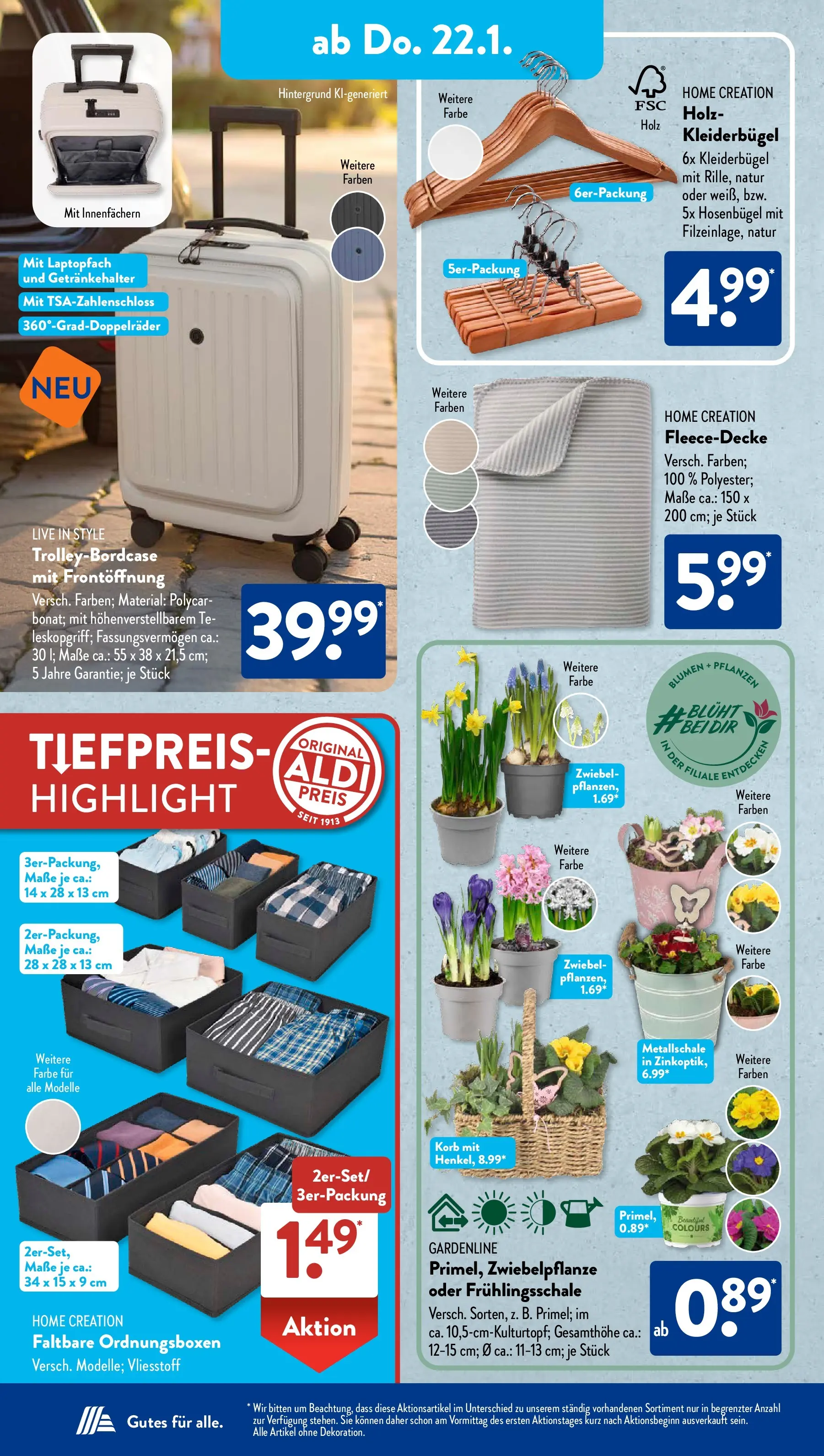 Aldi Süd Prospekt 	 (ab 19.01.2026) zum Blättern | Seite: 22 | Produkte: Korb, Blumen, Kleiderbügel, Home creation