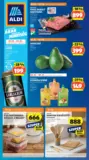 Aldi &uacute;js&aacute;g &eacute;rv&eacute;nyess&eacute;ge 2026.01.21.-ig