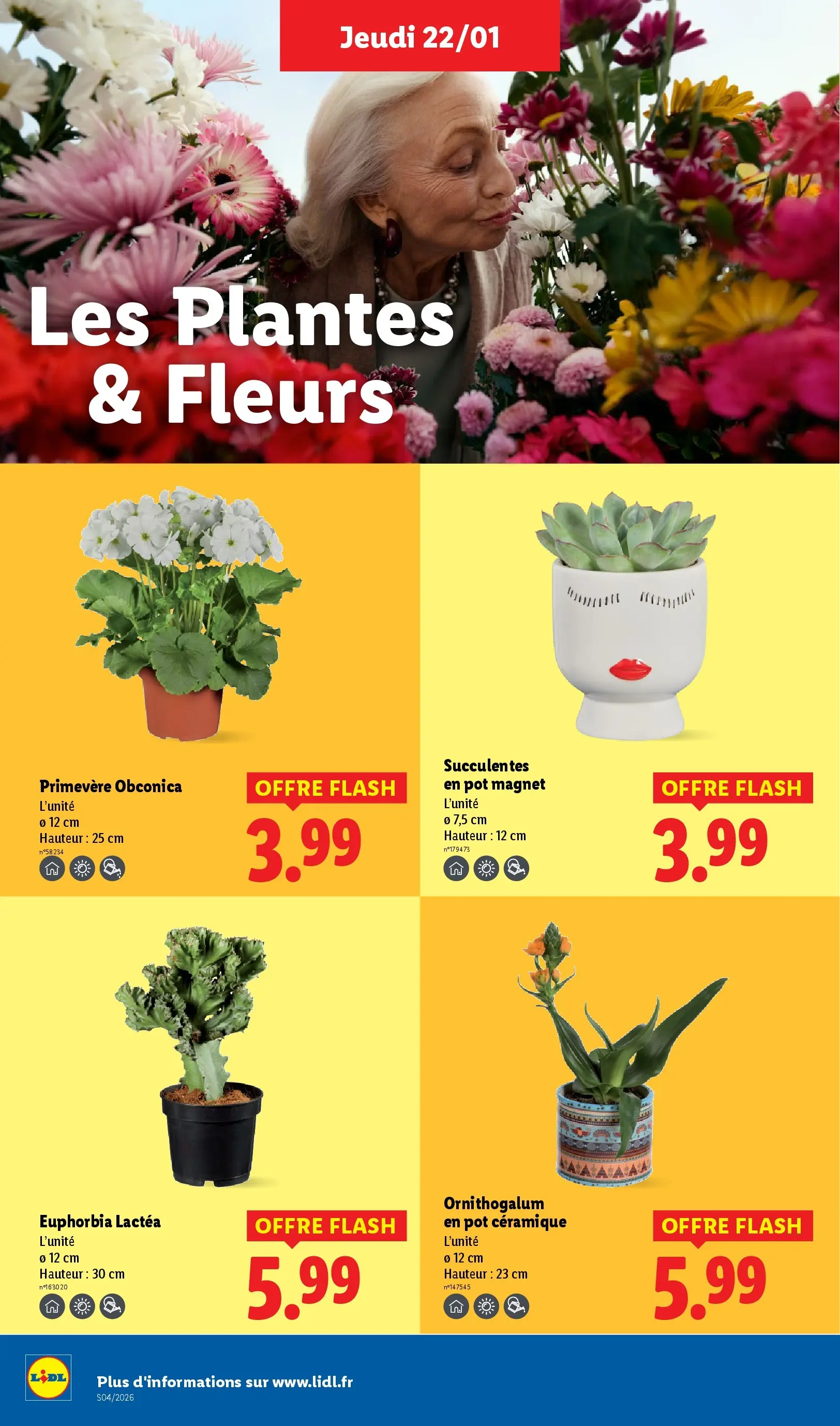 Catalogue LIDL du 19/01/2026 | Promo prospectus en ligne | Page: 28 | Produits: Plantes