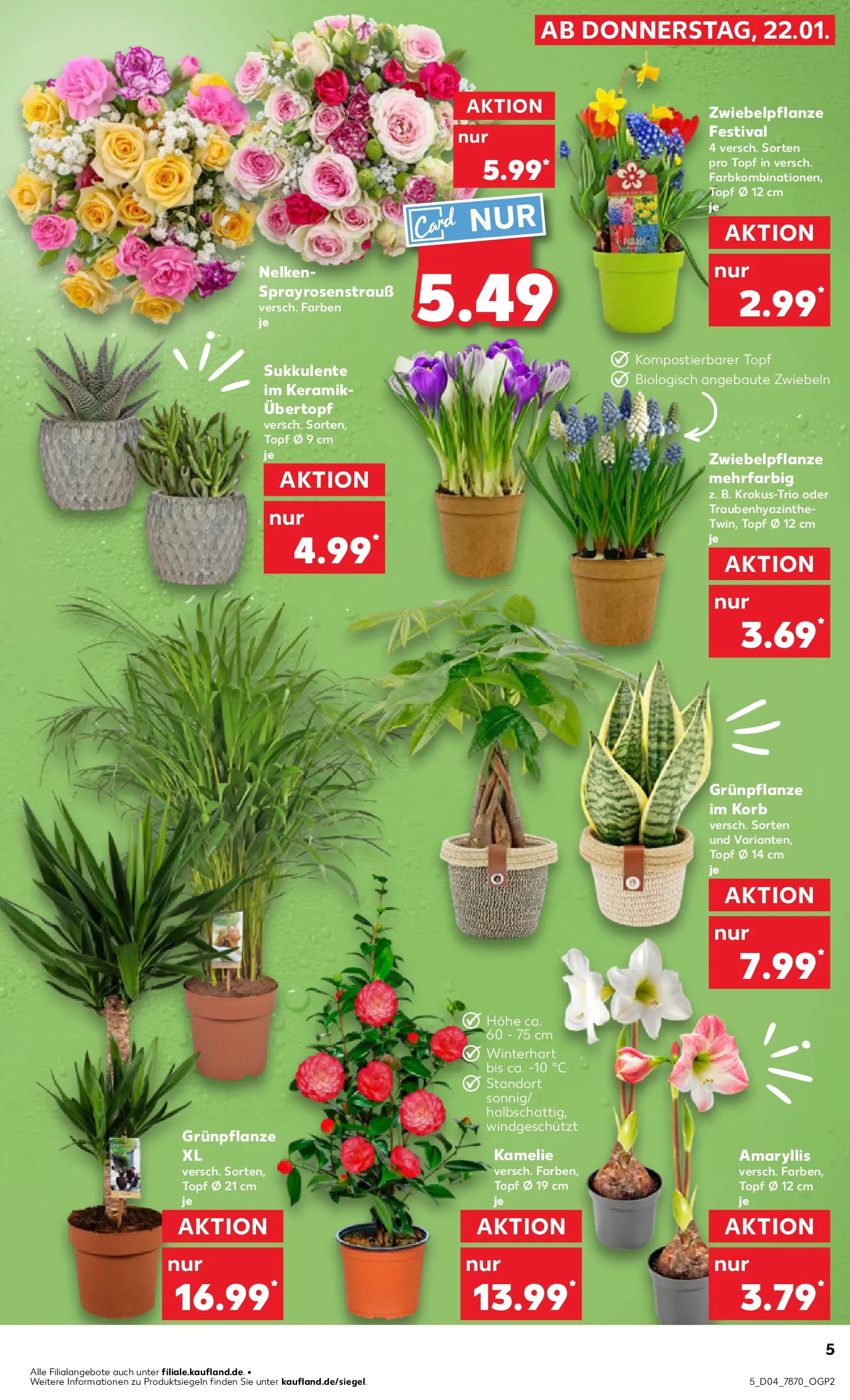 Prospekt Kaufland ab 22.01.2026 » Angebote Online zum Blättern | Seite: 21 | Produkte: Korb, Zwiebeln