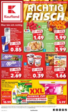 Kaufland prospekt Dallgow-Döberitz	 ab 22.01.2026 gültig