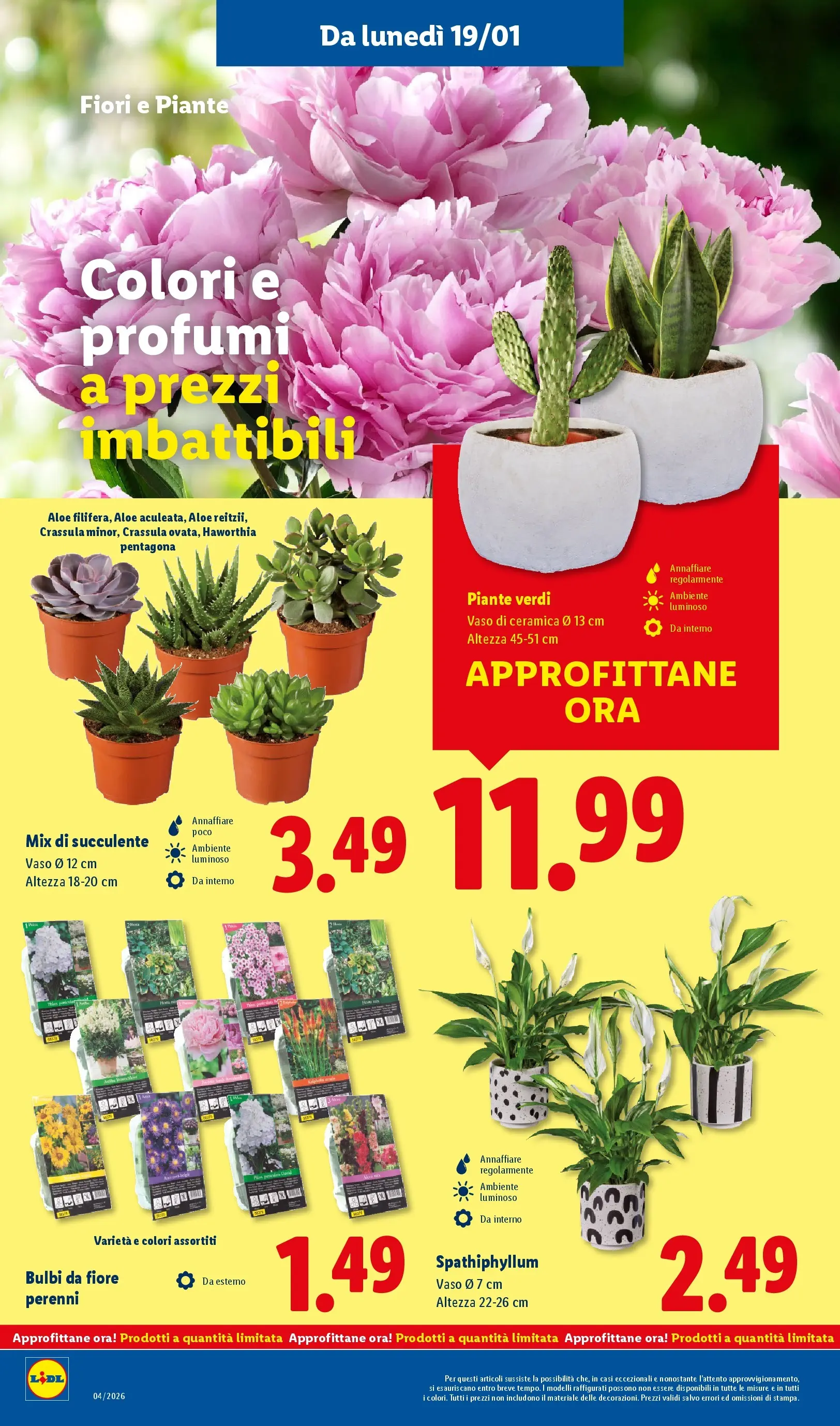 LIDL volantino della prossima settimana dal ﻿15/01/2026﻿ 📣 | Pagina: 38 | Prodotti: Vaso