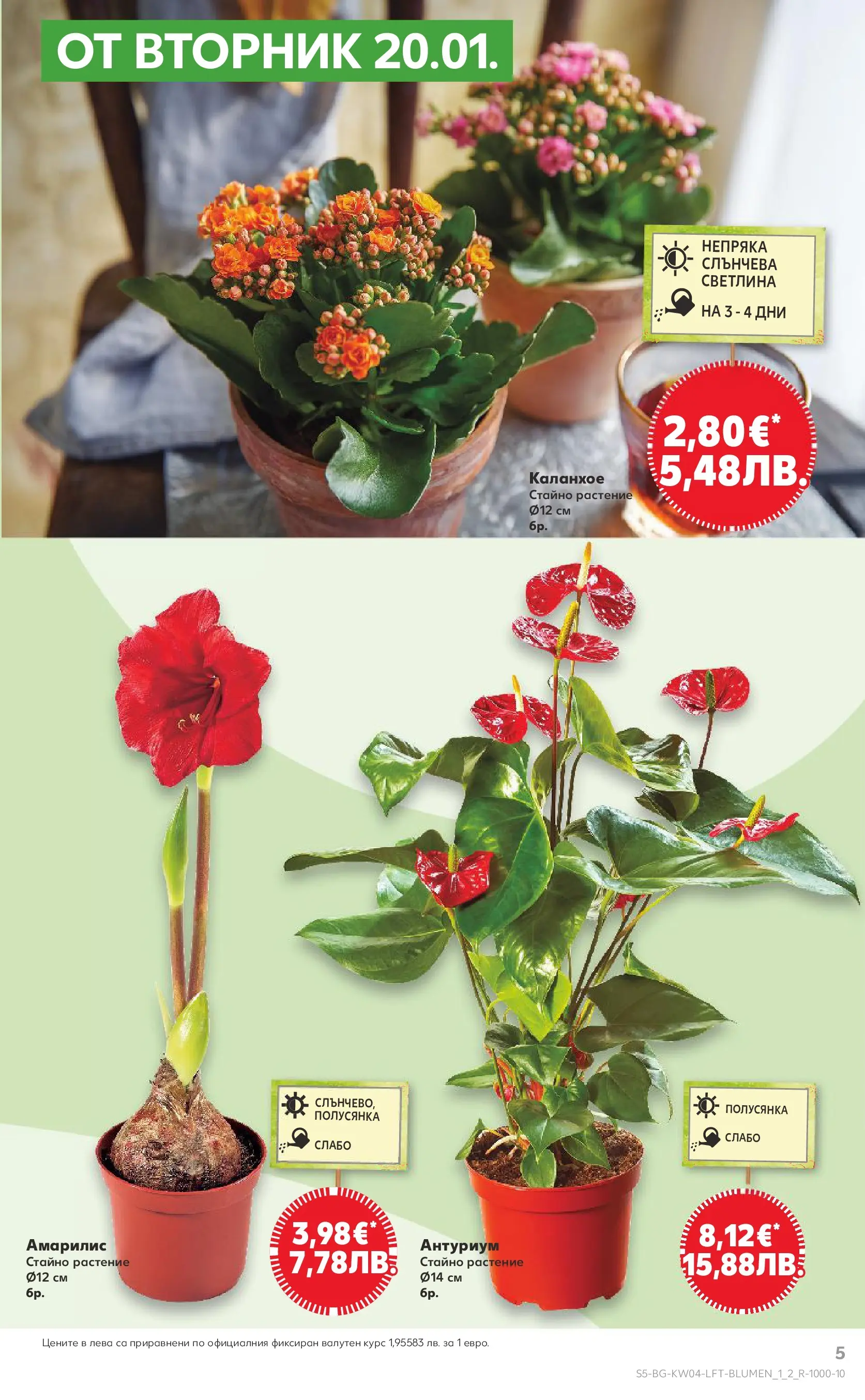 Нова Кауфланд - Роден вкус за всеки с Kaufland предложения с валидност до 25.01.2026 от 18.01.2026 | Страница: 5