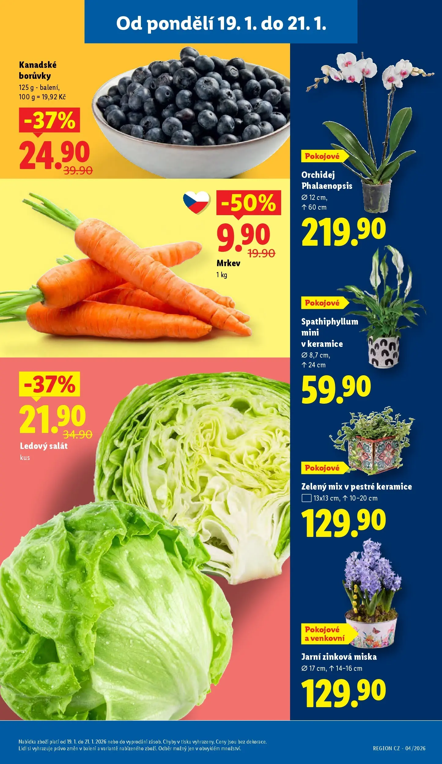 Lidl leták od 18.01.2026 - Nový akční leták | Strana: 11 | Produkty: Orchidej, Salát, Miska, Ledový salát