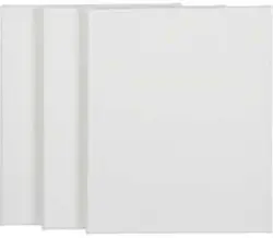 TALENTUS Платно за рисуване 25 х 30 см 3 бр.