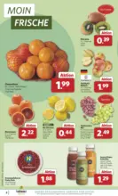 Combi - Angebote 26.01.-31.01.2026