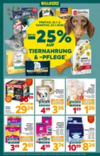 BILLA PLUS: Flugblatt Steiermark