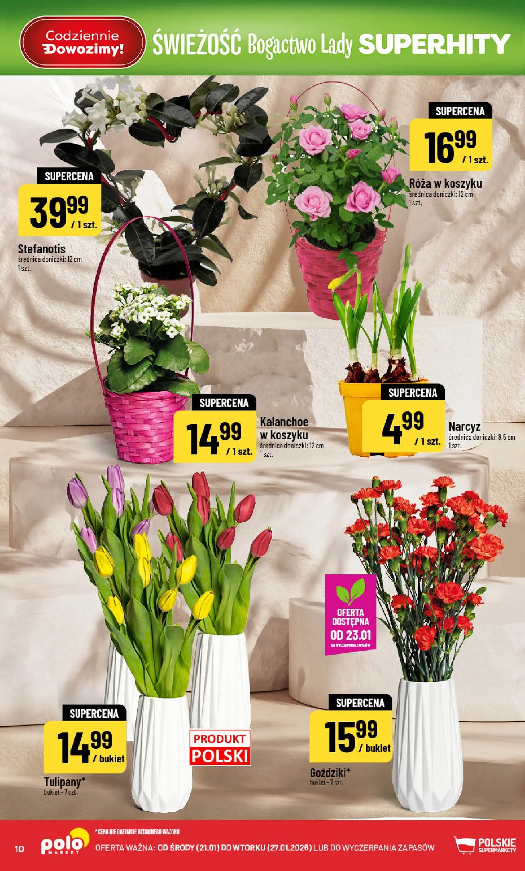 Nowa POLOmarket gazetka od jutra 21.01.2026 (PDF) | Strona: 10 | Produkty: Doniczki, Kalanchoe