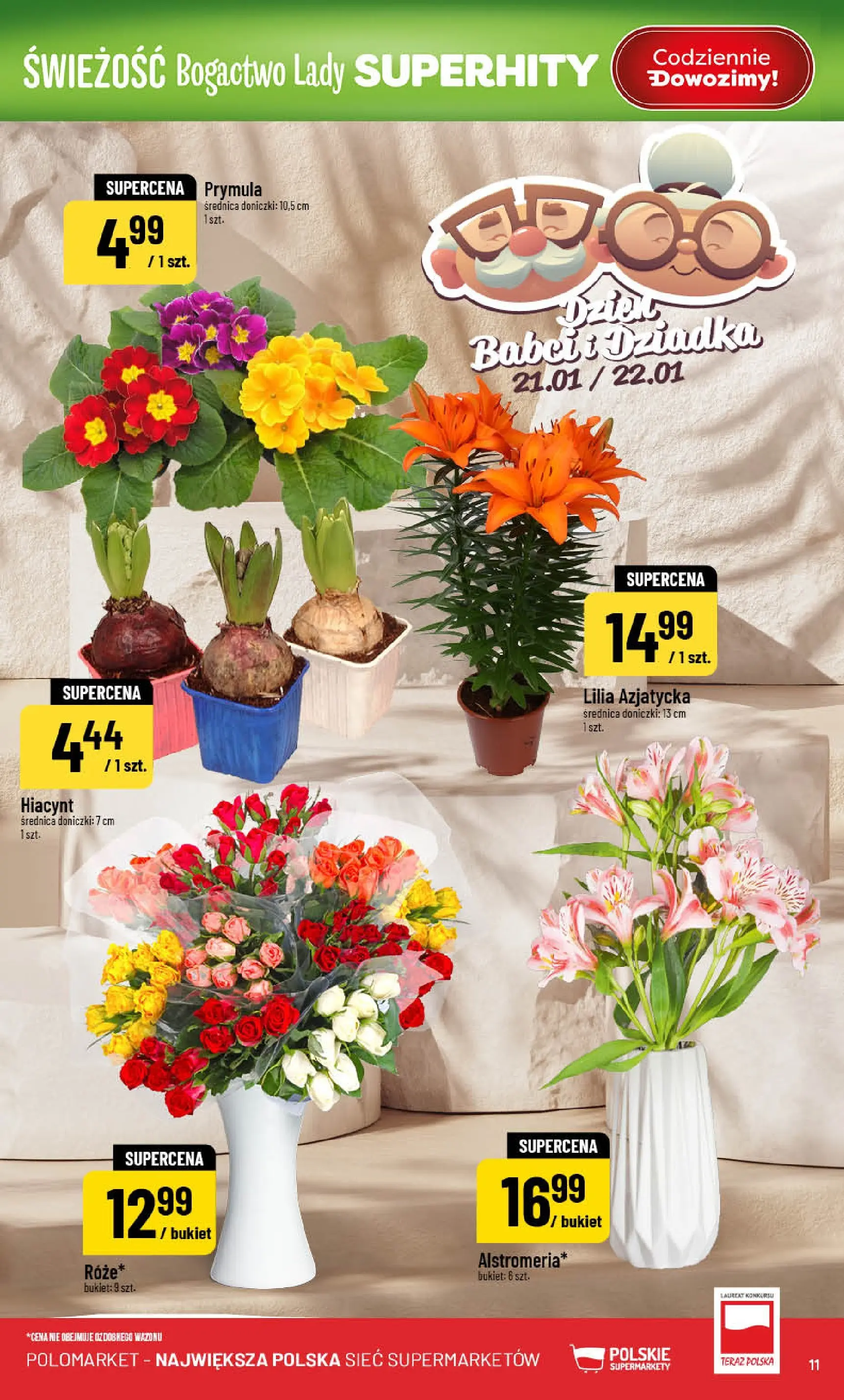 Nowa POLOmarket gazetka od jutra 21.01.2026 (PDF) | Strona: 11 | Produkty: Doniczki