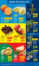 Lidl Lidl: Wochenangebote - bis 24.01.2026