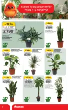 Auchan &uacute;js&aacute;g &eacute;rv&eacute;nyess&eacute;ge 01.28.-ig