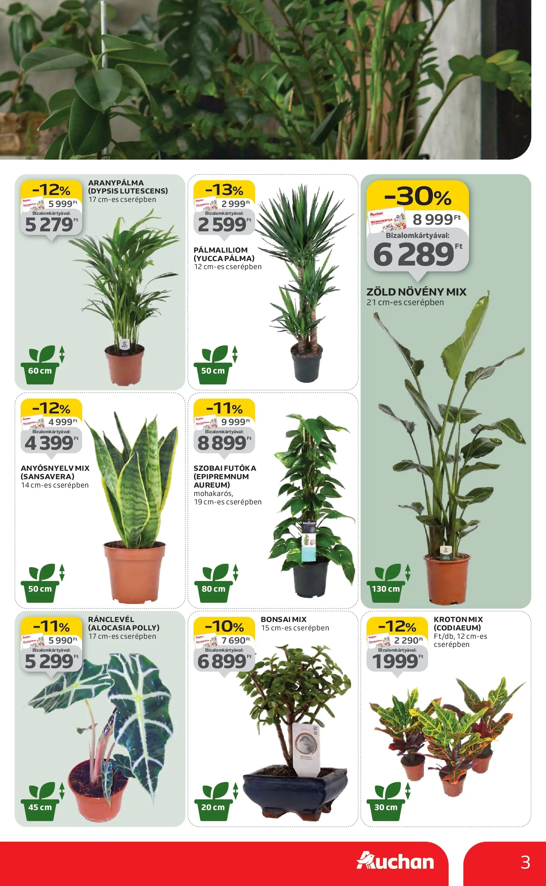 Auchan Akciós újság Miskolc - 2026.01.22. -tól/töl > akció, lapozható szórólap 🛍️ | Oldal: 3