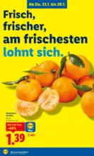 Lidl Lidl - bis 28.01.2026