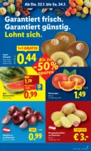 Lidl Lidl - ab 22.01.2026
