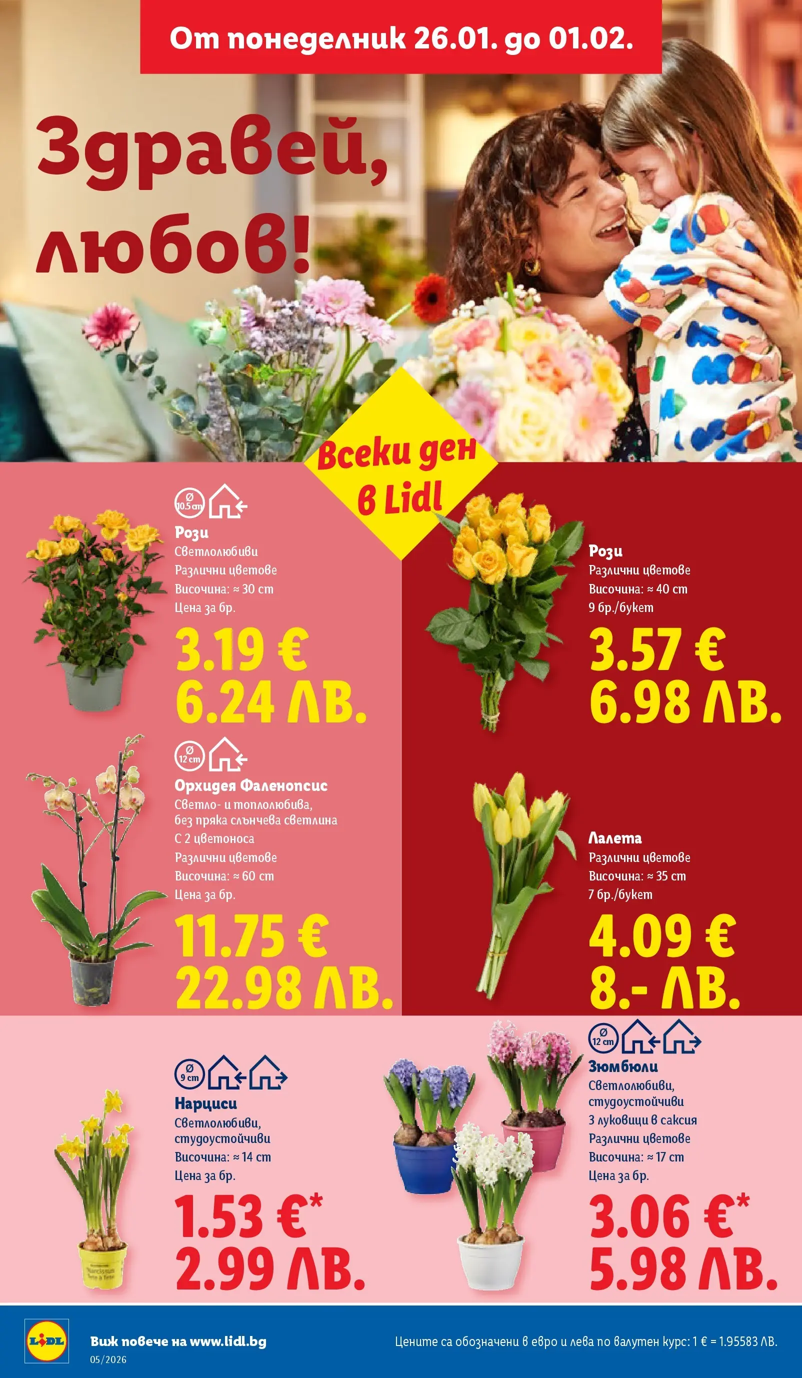 Лидл - Трайно ниски цени в ЛИДЛ с валидност до 01.02.2026 от 25.01.2026 | Страница: 50 | Продукти: Орхидея, Саксия Лидл - Трайно ниски цени в ЛИДЛ с валидност до 01.02.2026 от 25.01.2026 | Страница: 50 | Продукти: Орхидея, Саксия
