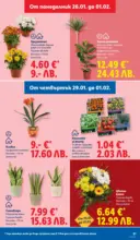 ЛИДЛ Трайно ниски цени в ЛИДЛ с валидност до 01.02.2026 - до 01-02-26