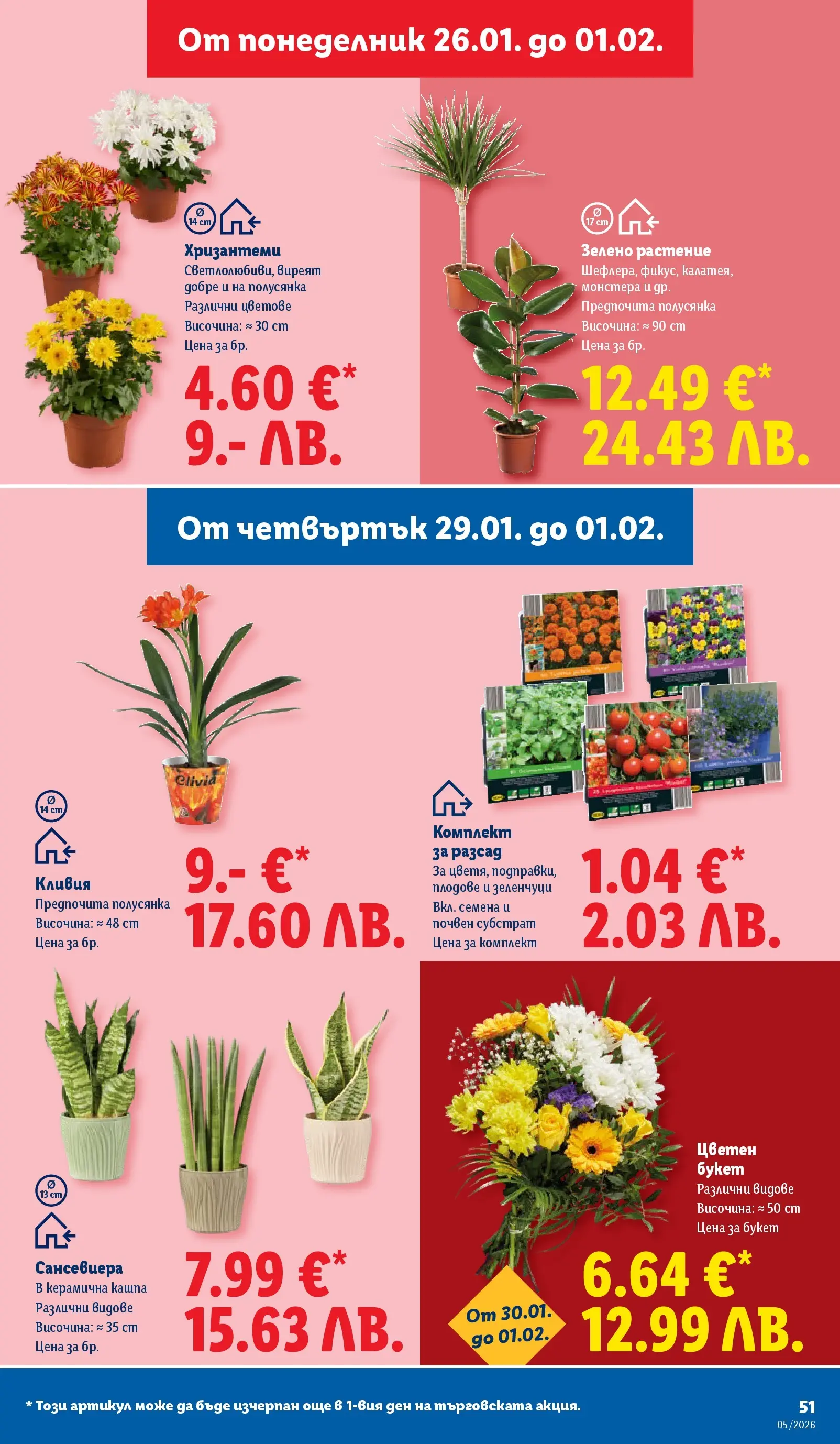 Лидл - Трайно ниски цени в ЛИДЛ с валидност до 01.02.2026 от 25.01.2026 | Страница: 51 | Продукти: Зеленчуци, Плодове, Семена Лидл - Трайно ниски цени в ЛИДЛ с валидност до 01.02.2026 от 25.01.2026 | Страница: 51 | Продукти: Зеленчуци, Плодове, Семена