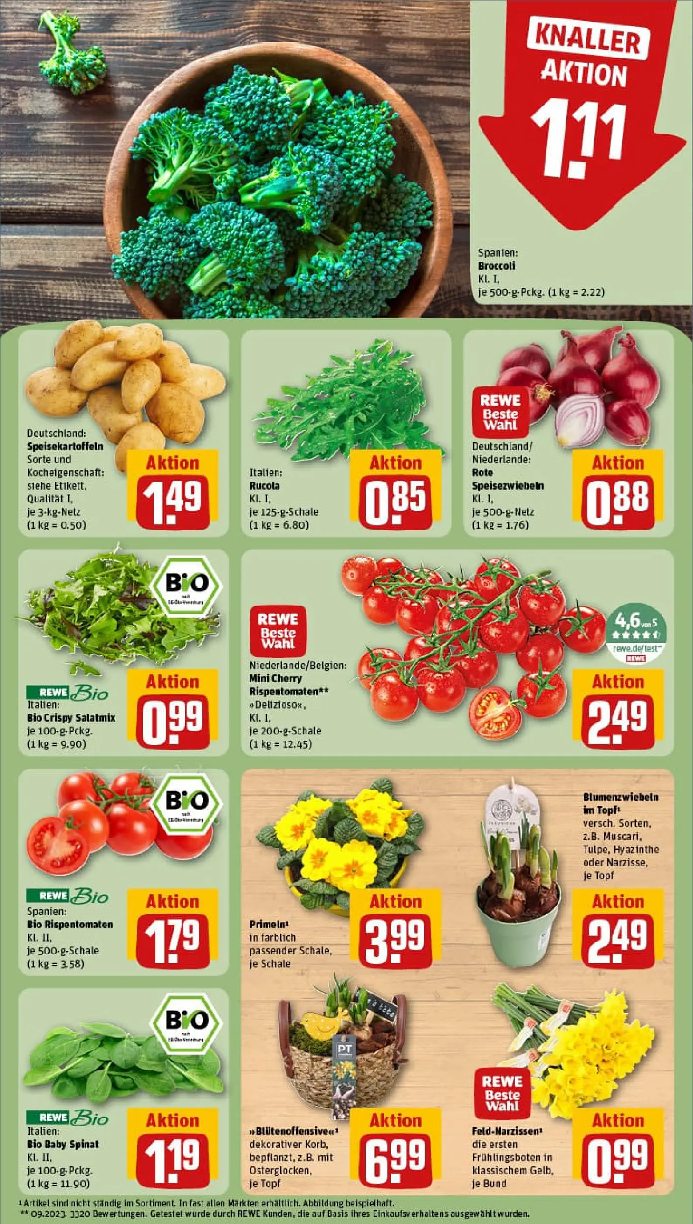 REWE Prospekt ab 26.01.2026 zum Blättern » Angebote | Seite: 7 | Produkte: Rucola