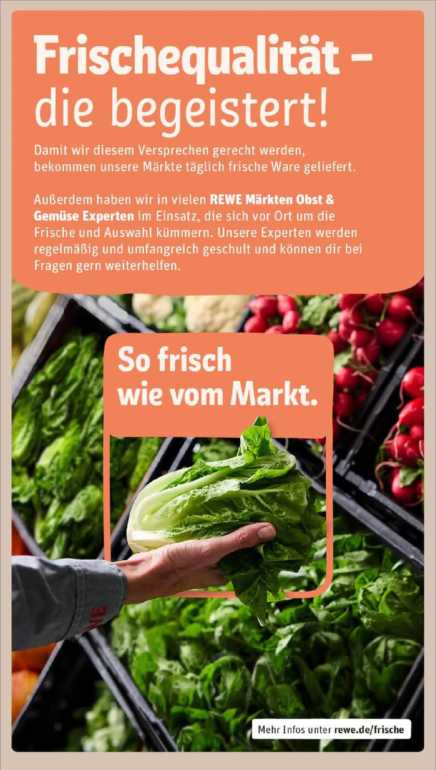 REWE Prospekt ab 26.01.2026 zum Blättern » Angebote | Seite: 27 | Produkte: Gemüse, Obst