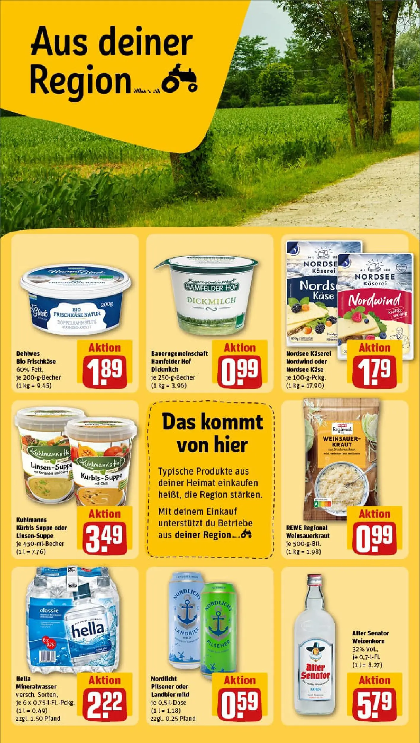 REWE Prospekt ab 26.01.2026 zum Blättern » Angebote | Seite: 24 | Produkte: Käse, Kraut, Kürbis, Frischkase