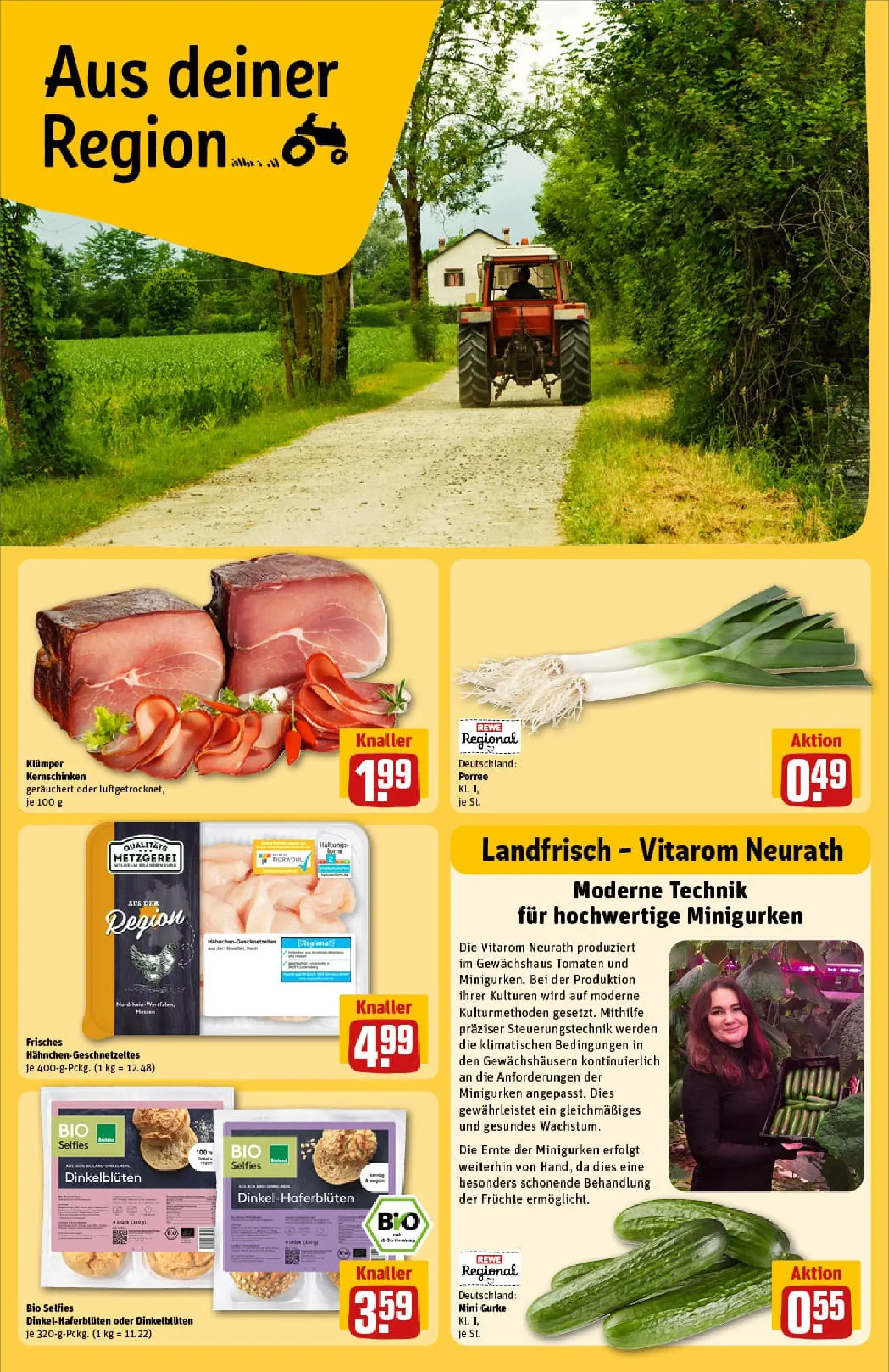 REWE Prospekt ab 26.01.2026 zum Blättern » Angebote | Seite: 24 | Produkte: Tomaten