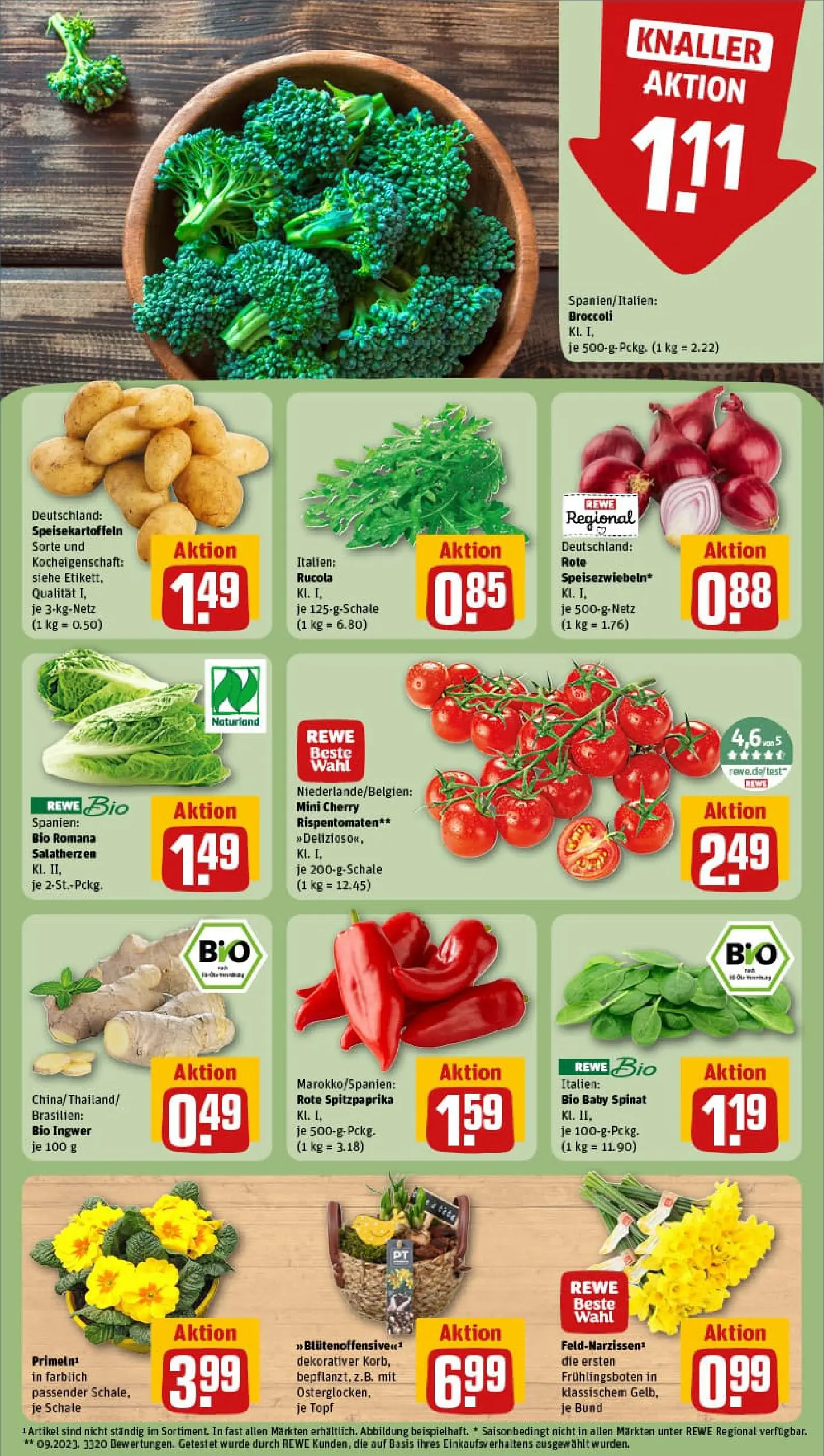 REWE Prospekt ab 26.01.2026 zum Blättern » Angebote | Seite: 7 | Produkte: Rucola