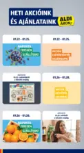 Aldi &uacute;js&aacute;g &eacute;rv&eacute;nyess&eacute;ge 2026.01.28.-igg