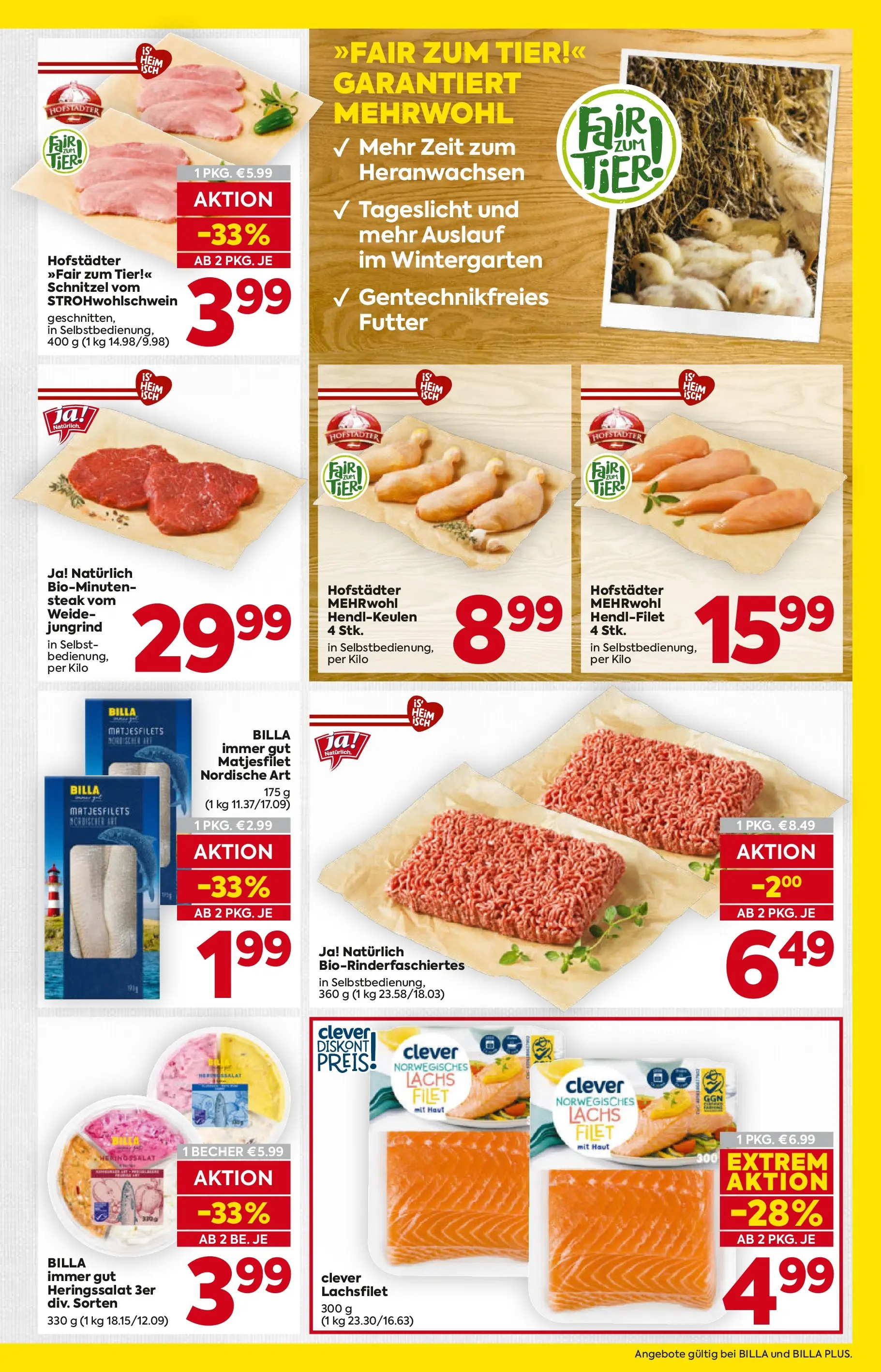 Billa - BILLA: Flugblatt gültig bei BILLA & BILLA PLUS ab 28.01.2026 - Angebote, Prospekt | Seite: 9