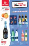 Catalog Selgros p&acirc;nă &icirc;n data de 05.02.2026