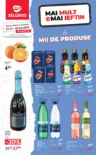Catalog Selgros p&acirc;nă &icirc;n data de 05.02.2026