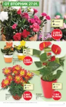 Kaufland хипермаркет Седмица с италиански привкус в Kaufland с валидност до 01.02.2026 - до 01-02-26