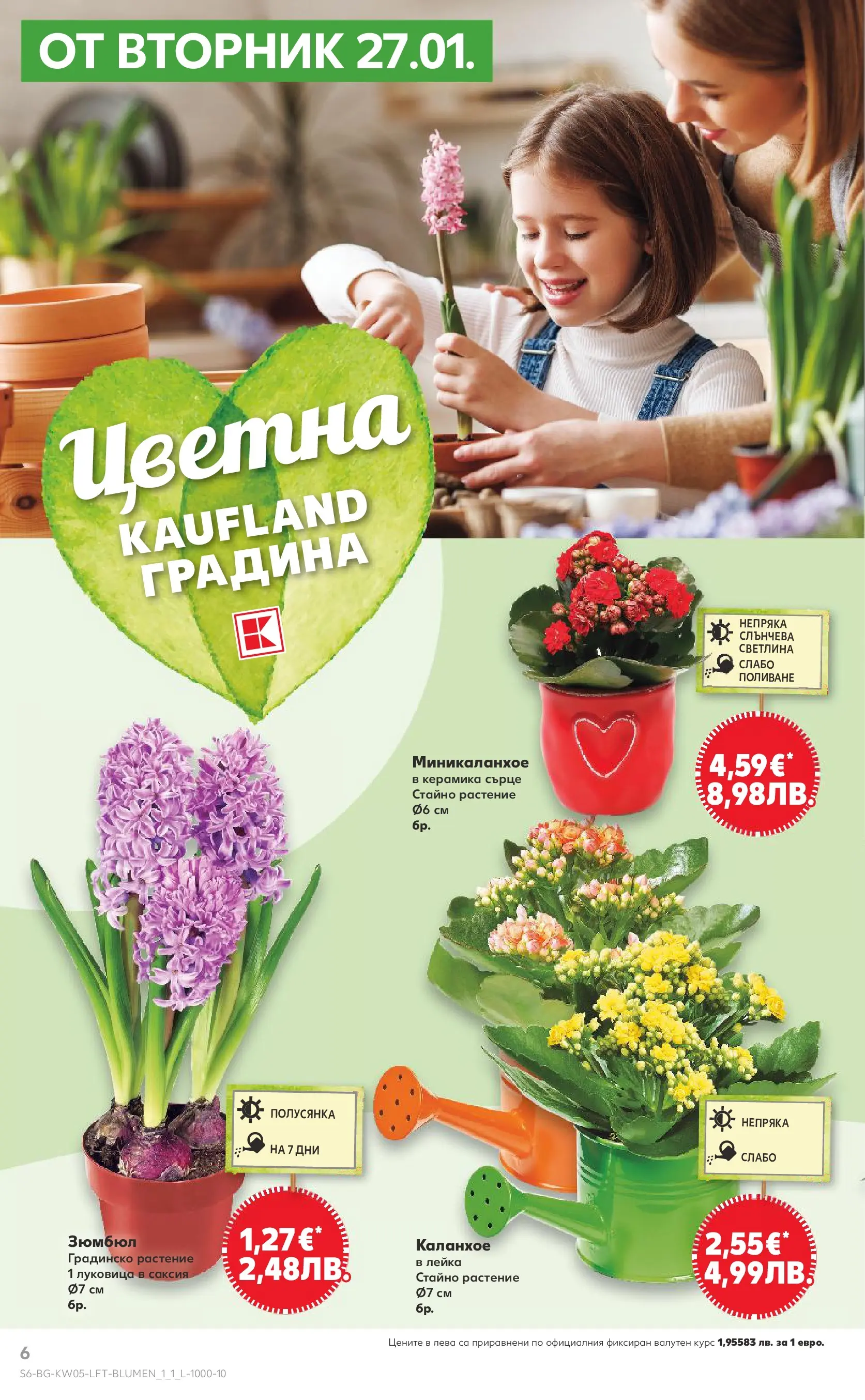 Нова Кауфланд брошура от 25.01.2026 | Страница: 6 | Продукти: Саксия Нова Кауфланд - Седмица с италиански привкус в Kaufland с валидност до 01.02.2026 от 25.01.2026 | Страница: 6 | Продукти: Саксия