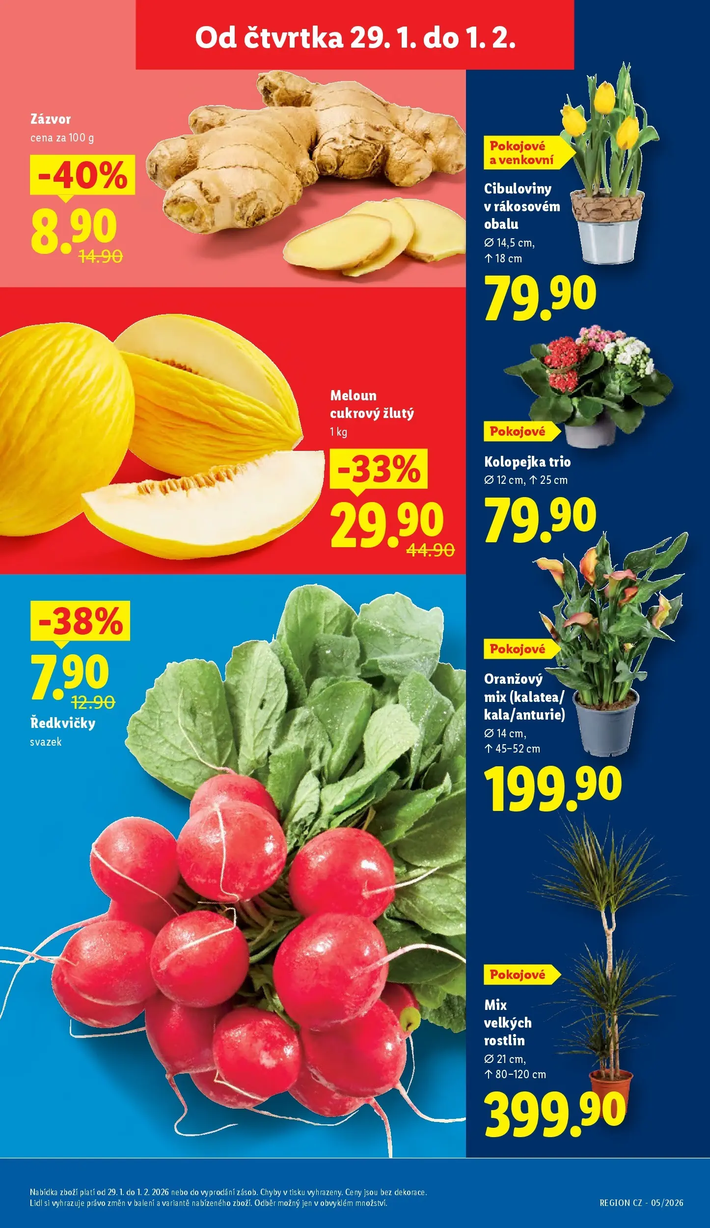 Lidl leták od 28.01.2026 - Nový akční leták | Strana: 9 | Produkty: Meloun, Zázvor, Ředkvičky