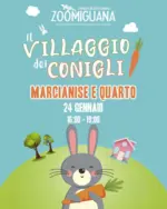 Zoomiguana Offerte e promozioni attuali - al 24.01.2026