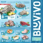 BluVivo Arrivi giornalieri - al 01.02.2026