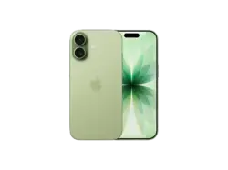 Apple iPhone 17, 256 GB, Salbei, Dual SIM