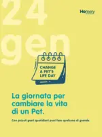 Homery Homery - al 25.01.2026