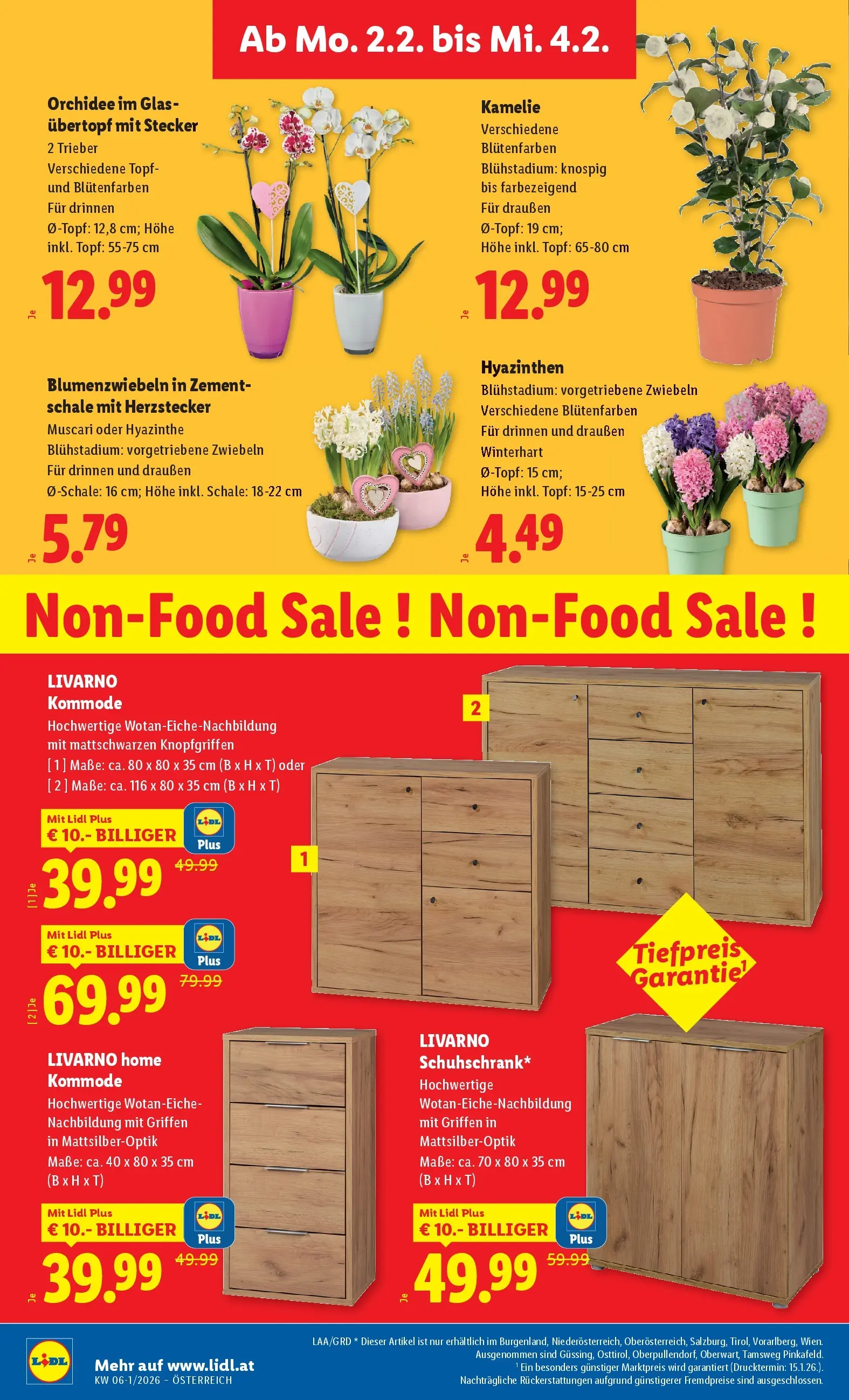 Lidl Flugblatt - Wien, Langenzersdorf, Zwettl ab 29.01.2026 - Angebote ab donnerstag | Seite: 30 | Produkte: Zwiebeln, Kommode