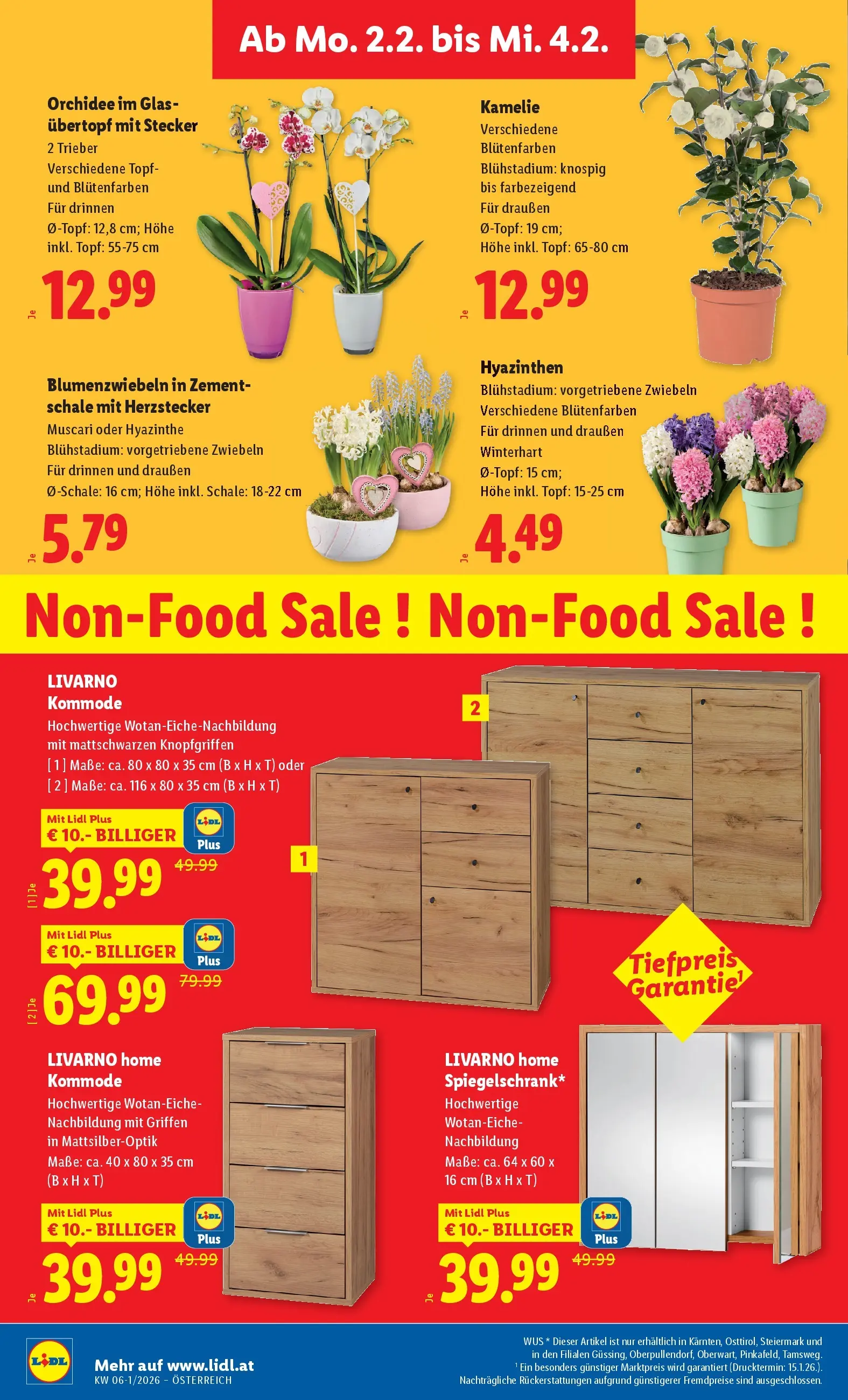 Lidl Flugblatt - Fohnsdorf, Neunkirchen, Graz ab 29.01.2026 - Angebote ab donnerstag | Seite: 30 | Produkte: Zwiebeln, Kommode