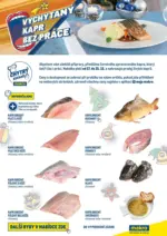 Makro Vychytan&yacute; kapr bez pr&aacute;ce &ndash; od 17.12.2026