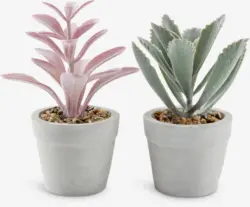 JYSK Изкуствено растение LOVE &Oslash;7xВ15 асорти