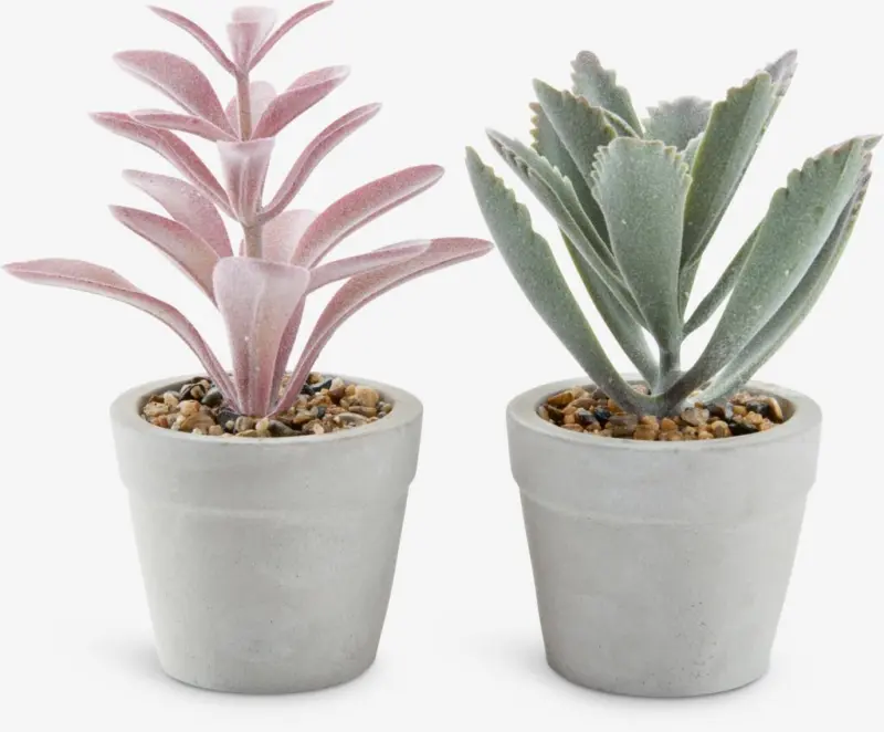 JYSK Изкуствено растение LOVE &Oslash;7xВ15 асорти