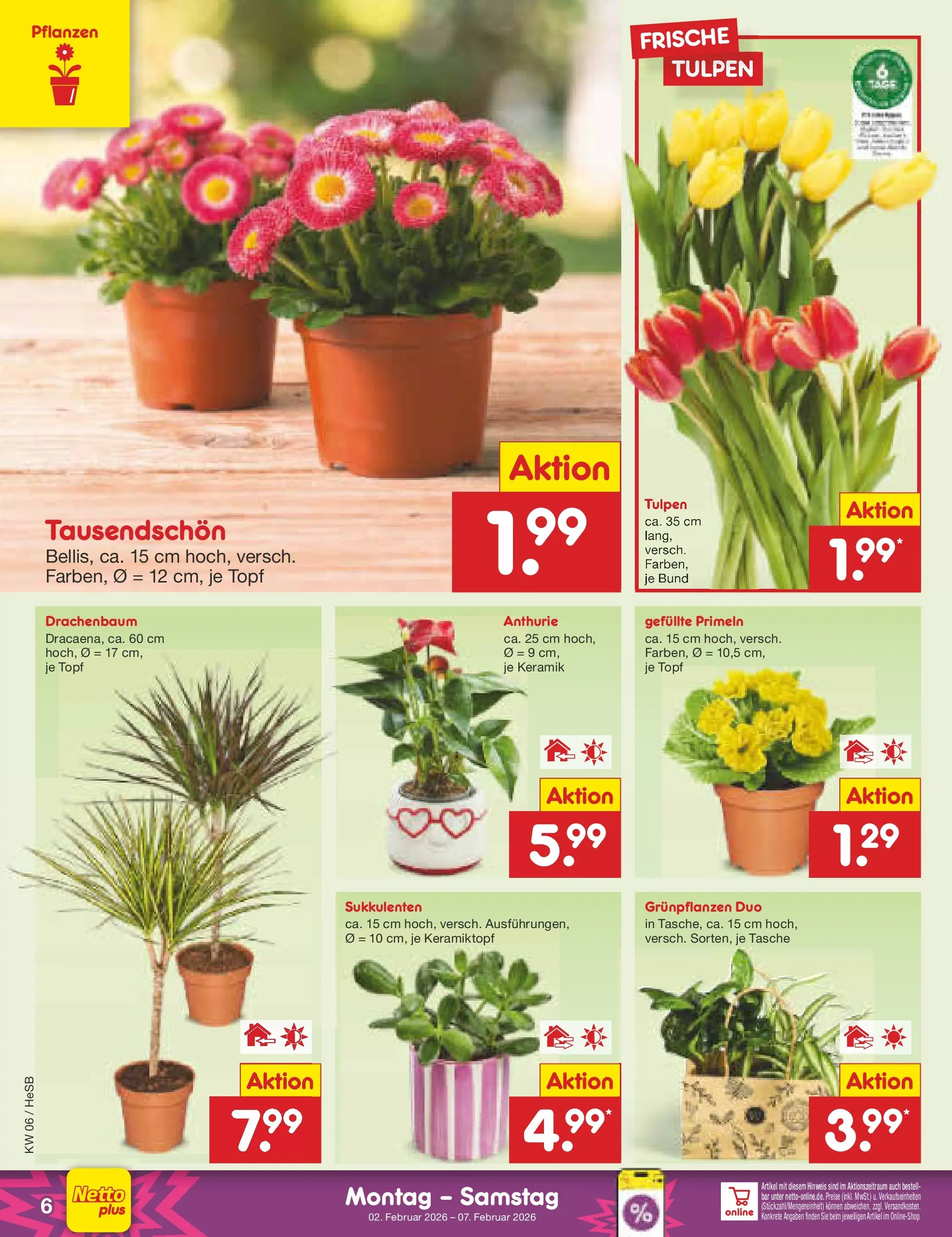 Netto Marken-Discount prospekt Hamburg	 (ab 02.02.2026) » Angebote | Seite: 6 | Produkte: Tasche