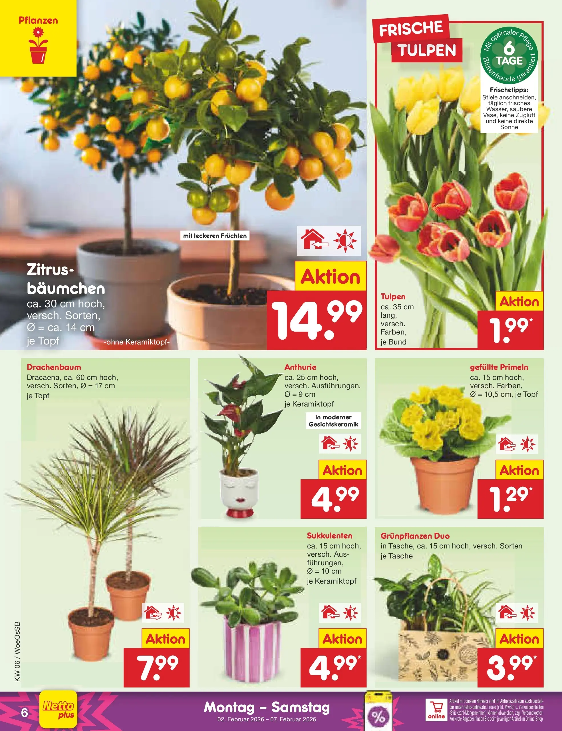 Netto Marken-Discount prospekt Gemmingen	 (ab 01.02.2026) » Angebote | Seite: 6 | Produkte: Tasche