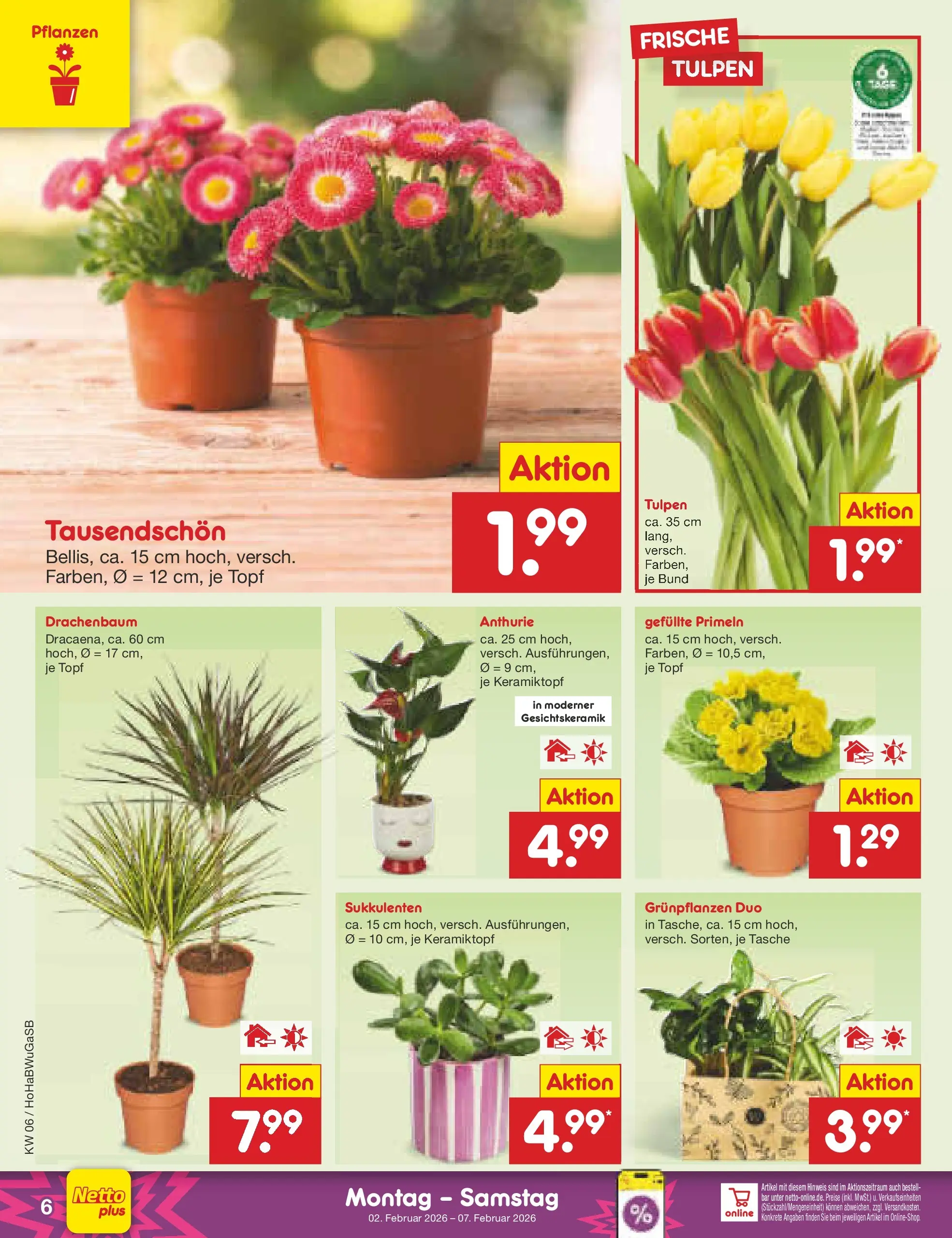 Netto Marken-Discount prospekt Stemwede-Dielingen	 (ab 01.02.2026) » Angebote | Seite: 6 | Produkte: Tasche