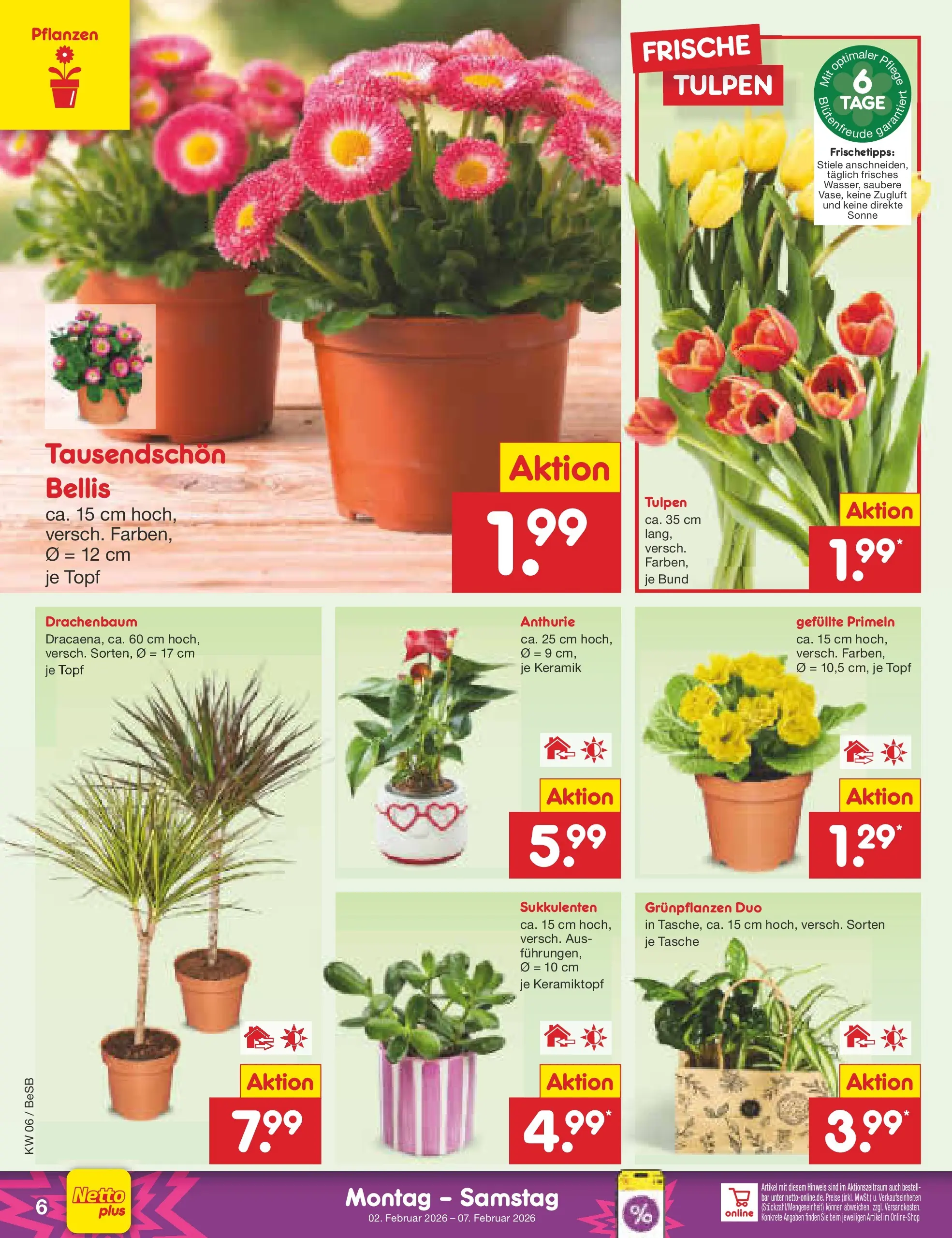 Netto Marken-Discount prospekt Kremmen	 (ab 01.02.2026) » Angebote | Seite: 6 | Produkte: Tasche